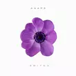 Музыка Agape - Квітка