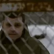 Музыка Литвиненко - Рано