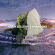 Музыка Paradoks & Adam Sellouk - Internal (Original Mix)