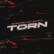 Музыка DJ DimixeR - Torn (feat. Favia & Dmitrii G)