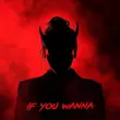 Музыка Oneil - If You Wanna (feat. Aize & Danna Max)