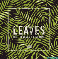 Музыка Dimitri Vegas & Like Mike - Leaves (Original Mix)