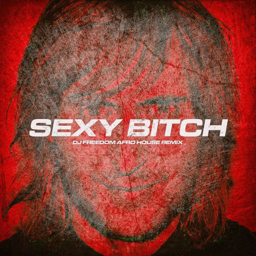 Музыка David Guetta & Akon - Sexy Bitch (DJ Freedom Afro House Remix)