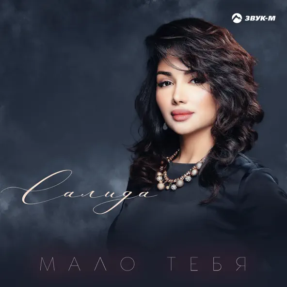 Музыка Салида - Мало Тебя