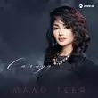 Музыка Салида - Мало Тебя