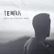 Музыка Temiris - Если Бы Я Только Знал