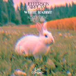 Музыка Jefferson Airplane - White Rabbit (Kerem Genc Rework)