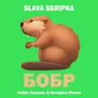 Музыка Slava Skripka - Бобр (Vadim Adamov & Hardphol Remix)