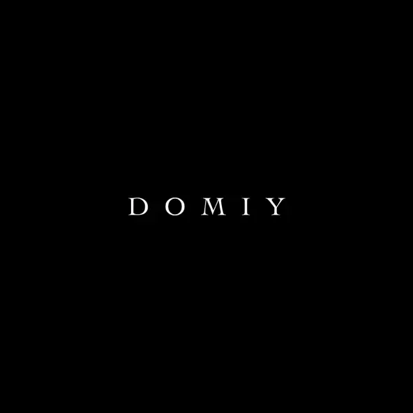 Музыка Domiy - Так І Не Знайшла
