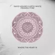 Музыка David Hohme - Friendly Fire (feat. Artic White)