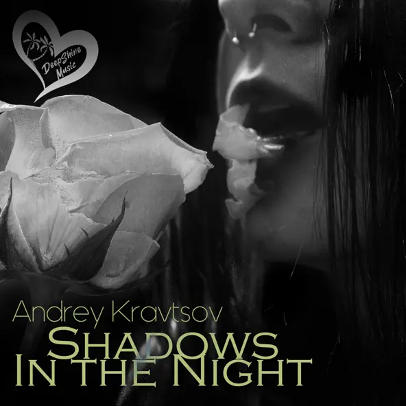 Музыка Andrey Kravtsov - Shadows In The Night (Original Mix)