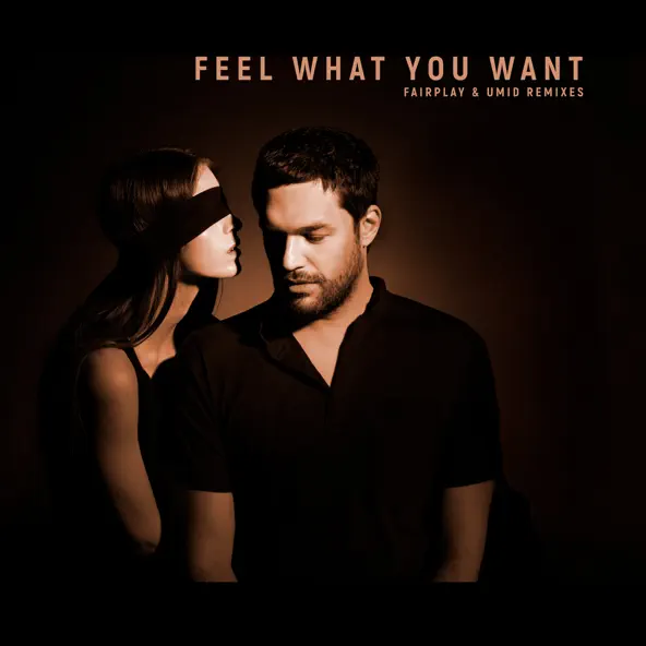Музыка Phonique & Rebecca - Feel What You Want (Fairplay Remix)
