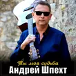 Музыка Андрей Шпехт - Ты Моя Судьба