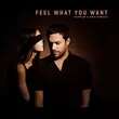 Музыка Phonique & Rebecca - Feel What You Want (Fairplay Remix)