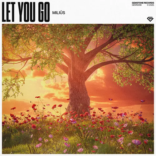 Музыка Miliūs - Let You Go