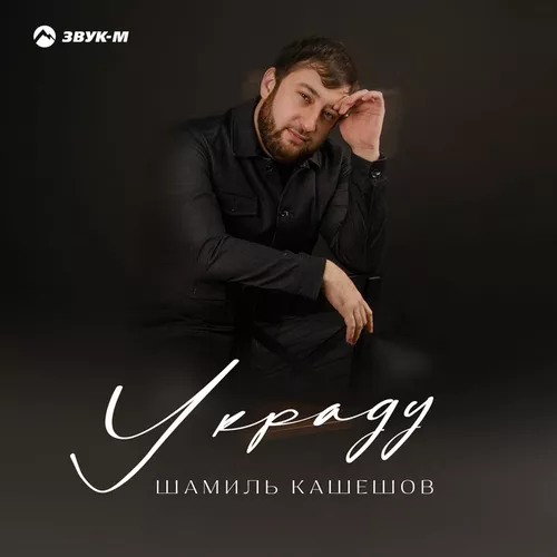 Музыка Шамиль Кашешов - Украду