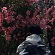 Музыка Lowlife - Мы Не Такие, Как Они