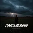 Музыка Palych - Солнца Не Видно (feat. Alekseevna)