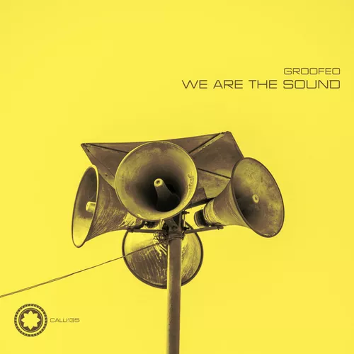 Музыка Groofeo - We Are The Sound (Windom R Remix)