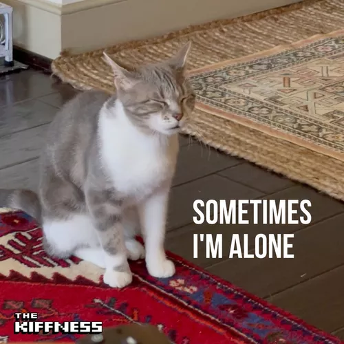 Музыка The Kiffness - Sometimes I'm Alone (Lonely Cat)