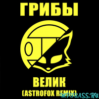 Музыка Грибы - Велик (AstroFox Remix)