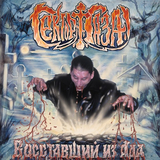Музыка Сектор Газа - Демобилизация