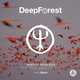 Музыка Deep Forest - Sing With The Birds (Onuka Remix)