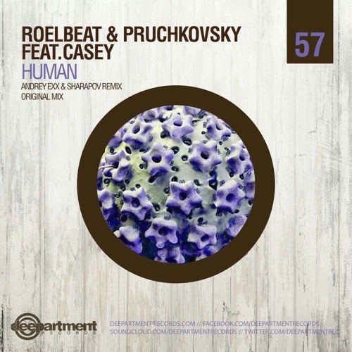 Музыка RoelBeat & Pruchkovsky feat. Casey - Human (Original Mix)