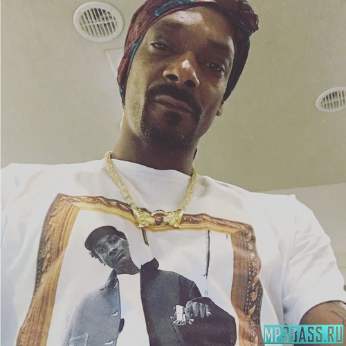 Музыка Snoop Dogg - Swivel (feat. Stresmatic)