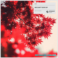 Музыка EDX - We Can't Give Up (Extended Mix)