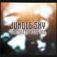 Музыка Jungle Sky - Поломали Хату Ма