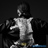 Музыка Steve Angello - Freedom (feat. Pusha T.)