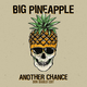 Музыка Big Pineapple - Another Chance (Don Diablo Extended Edit)