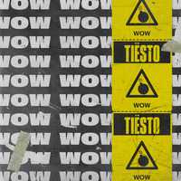 Музыка Tiesto - Wow (Radio Edit)
