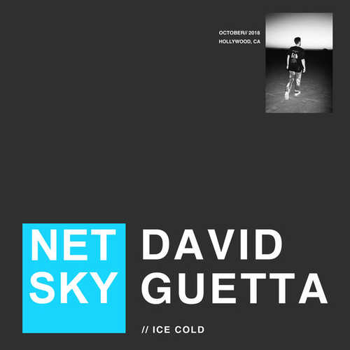 Музыка Netsky - Ice Cold (feat. David Guetta)