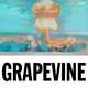 Музыка Tiësto - Grapevine (Tujamo Remix)