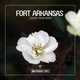 Музыка Fort Arkansas - Touch Your Body (Original Club Mix)