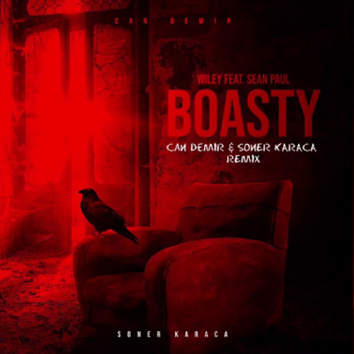 Музыка Wiley & Sean Paul - Boasty (Soner Karaca & Can Demir Remix)