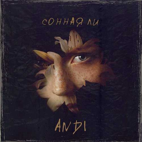Музыка ANDI - Сонная Ли